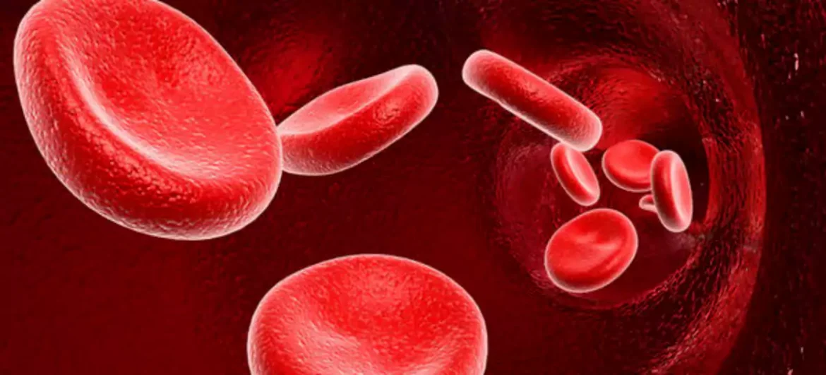 రక్తం క్లీన్ గా ఉంటే రోగాలన్నీ దూరమే.. రక్తాన్ని ఇలా శుద్ది చేసుకోండి..! | రక్తాన్ని శుద్ధి చేసే టాప్ ఫుడ్స్| సహజ రక్త శుద్ధి | రక్తాన్ని శుద్ధి చేసే ఆహారాలు| రక్త శుద్ధి కోసం ఆహారం| రక్తాన్ని శుద్ధి చేస్తుంది
