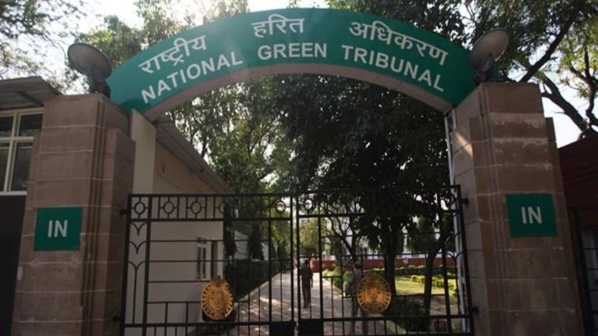 NGT has space for experts, most of them now are former Govt officers