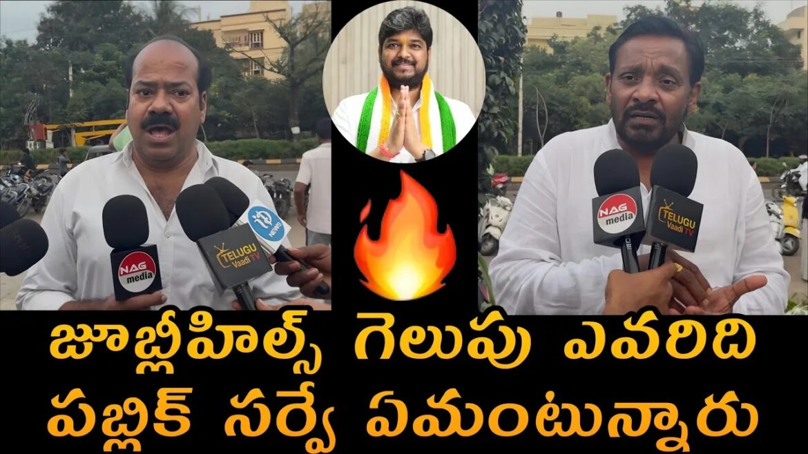 ప్రజా అభిప్రాయం, ప్రభుత్వ సేవలు మరియు రాజకీయ సెంటిమెంట్
