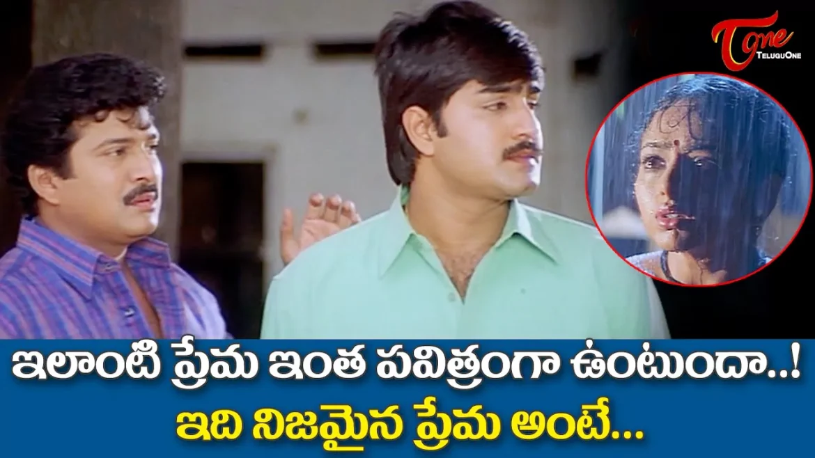 tmdb-header-middle-logo