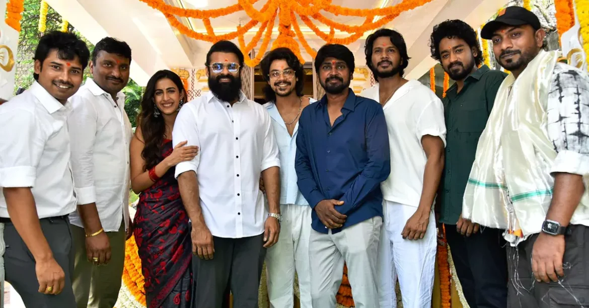 tmdb-header-middle-logo