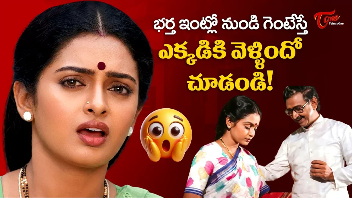 tmdb-header-middle-logo