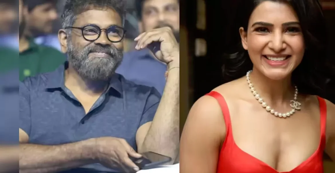 tmdb-header-middle-logo