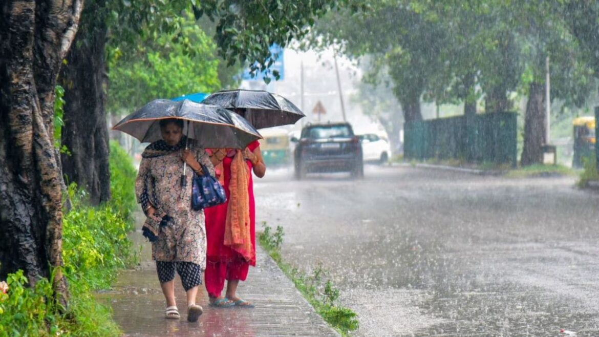 In Delhi, respite from heat likely as IMD predicts dip in temperature; issues warning for thunderstorms over next four days