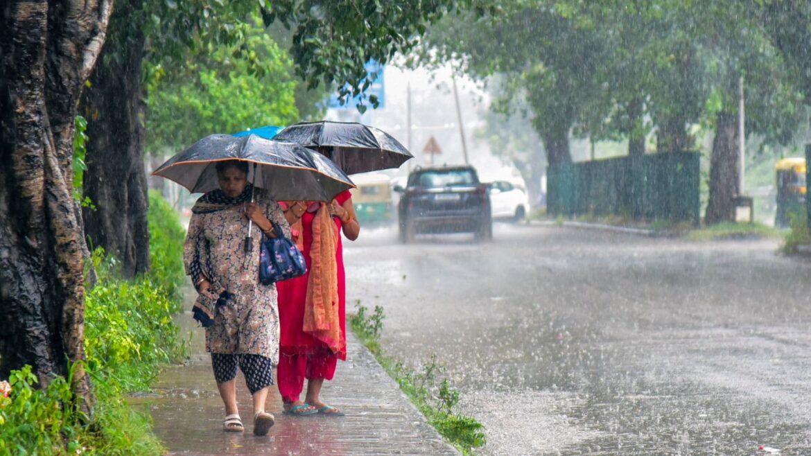 rain